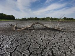 Los fondos dirigidos de forma emergente ante la sequía son por alrededor de dos mil 460 millones de pesos. ARCHIVO /