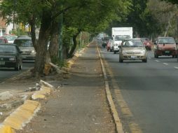 Destacan que el uso de la bicicleta es un paso en la transformación de la movilidad en las ciudades mexicanas. ARCHIVO /