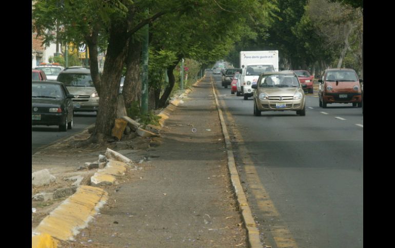 Destacan que el uso de la bicicleta es un paso en la transformación de la movilidad en las ciudades mexicanas. ARCHIVO /