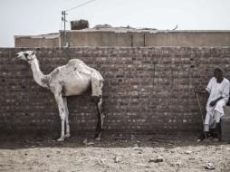 Los delincuentes han visto en Dahshur un diamante en bruto. EFE /