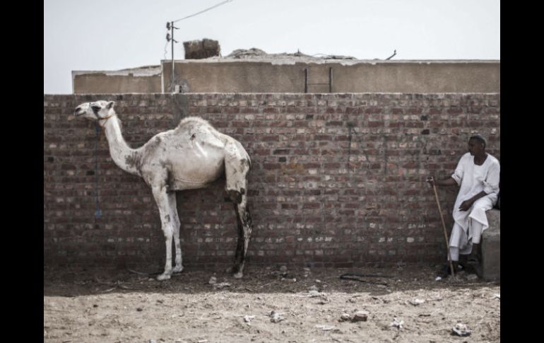 Los delincuentes han visto en Dahshur un diamante en bruto. EFE /