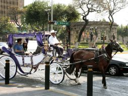 El arquitecto concluye en que el centro histórico es de las calandrias.  /