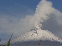 Autoridades permanecen en alerta ante la actividad del volcán Popocatépetl. ARCHIVO /