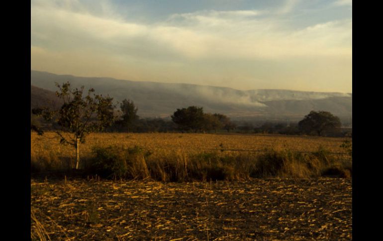 El día mundial de medio ambiente se celebra el 5 de junio. ARCHIVO /