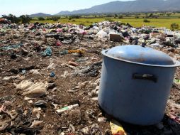 El Ayuntamiento de Guadalajara prepara una serie de actividades en honor al Día Mundial del Medio Ambiente. ARCHIVO /