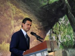 Enrique Peña Nieto durante la presentación de la Estrategia Nacional de Cambio Climático. ARCHIVO /