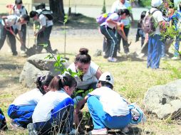 El municipio de Zapopan anunció que plantará 218 mil árboles en El Centinela, La Herradura, Los Bailarines, Palo Gordo y La Primavera. EL INFORMADOR /