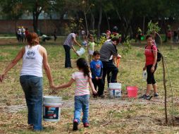 El sábado por la mañana se realiza la reforestación de árboles junto con un riego profundo para que conserven su humedad.  /