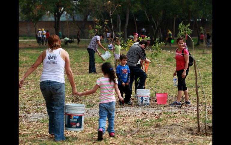 El sábado por la mañana se realiza la reforestación de árboles junto con un riego profundo para que conserven su humedad.  /