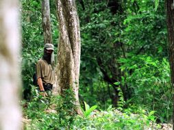 Un indígena base de apoyo del Ejército Zapatista de Liberación Nacional, fue asesinado, informan fuentes oficiales. ARCHIVO /