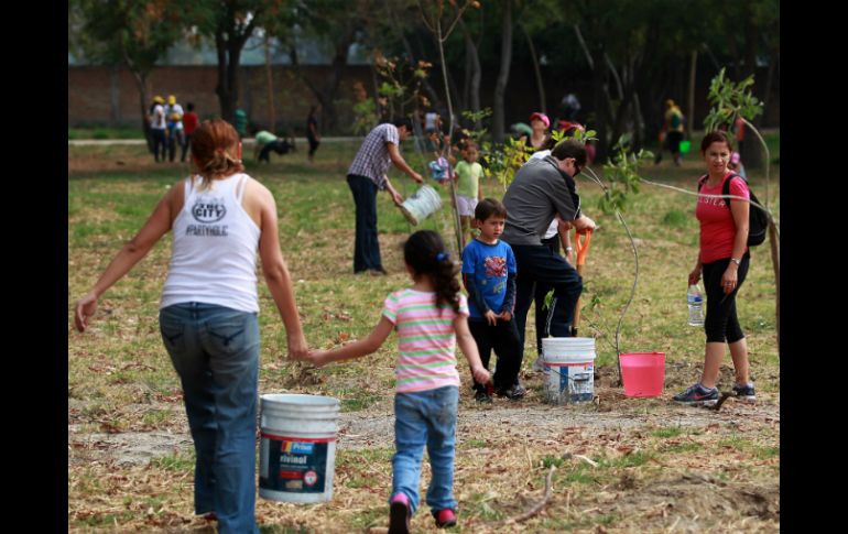 A lo largo de la semana se plantaron árboles en diferentes lugares de la ZMG para celebrar esta fecha. ARCHIVO /