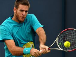 Del potro se coloca entre los favoritos del torneo. AFP /