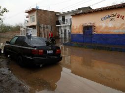 Señalan que actualmente se analiza qué zonas se van a intervenir con fumigaciones. ARCHIVO /