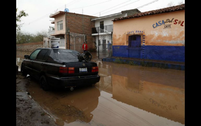 Señalan que actualmente se analiza qué zonas se van a intervenir con fumigaciones. ARCHIVO /