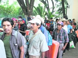 Los jornaleros agrícolas que sufrieron de explotación laboral en el municipio de Tolimán, regresaron ayer a sus lugares de origen. ESPECIAL /