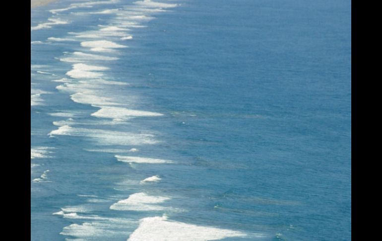 Expertos buscan reducir la extensión promedio quinquenal de drenaje de la zona hipóxica del Golfo. ARCHIVO /