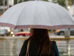 Tras ''Barry'', pronostican fin de semana lluvioso en la Zona Metropolitana de Guadalajara. ARCHIVO /