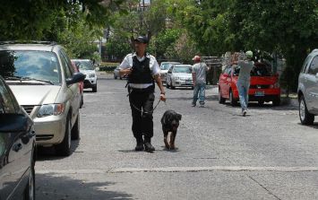 Vecinos de Las Águilas se organizan para enfrentar inseguridad | El  Informador