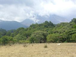 Desde hace 18:00 horas de ayer se han registrado lluvias ligeras en la región en la que se encuentra el Volcán de Colima. ARCHIVO /