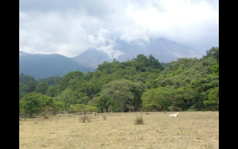 Desde hace 18:00 horas de ayer se han registrado lluvias ligeras en la región en la que se encuentra el Volcán de Colima. ARCHIVO /