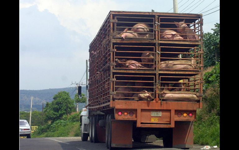 La Sagarpa pide información al USDA sobre el brote epidemiológico. ARCHIVO /