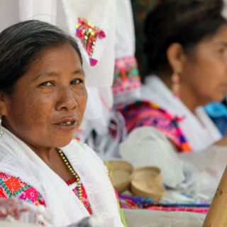 En Jalisco, 0.8% de la población habla una lengua indígena