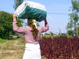 El Seguro de Vida para Jefas de Familia está enfocado a madres solas en condición de pobreza. ARCHIVO /