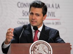 El IFAI confirmó como inexistente en el acervo de la Presidencia la información curricular de Peña Nieto. ARCHIVO /