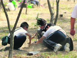 Más de cinco décadas. Al árbol se le conmemora desde 1959 en México. Por lo general se dedica este día a la reforestación. EL INFORMADOR /