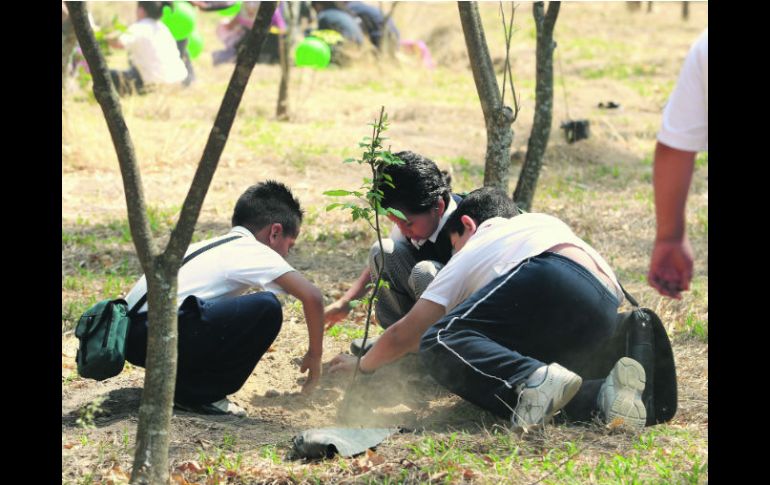 Más de cinco décadas. Al árbol se le conmemora desde 1959 en México. Por lo general se dedica este día a la reforestación. EL INFORMADOR /