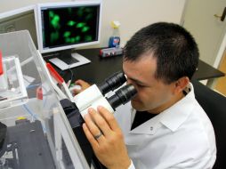 Crece el porcentaje de estudiantes que se gradúan de carreras afines a la ciencia y a la tecnología. ARCHIVO /