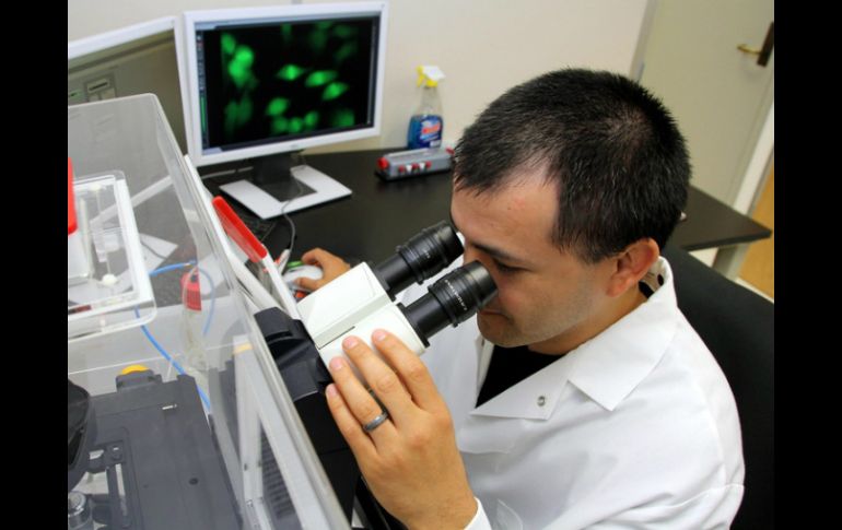 Crece el porcentaje de estudiantes que se gradúan de carreras afines a la ciencia y a la tecnología. ARCHIVO /