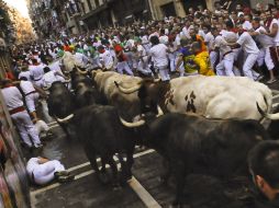 En ningún momento los toros intentaron embestir a los ''mozos''. AP /