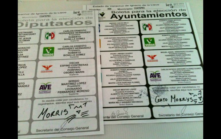 Un número importante de votos en Xalapa fue para el ''Candigato Morris''. TOMADA DE SITIO OFICIAL  /