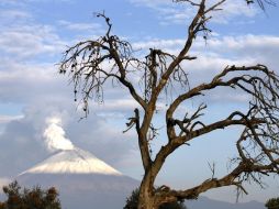 Fotografía del volcán Popocatépetl tomada desde el poblado de Santiago Xalitzintla, en Puebla. EFE /