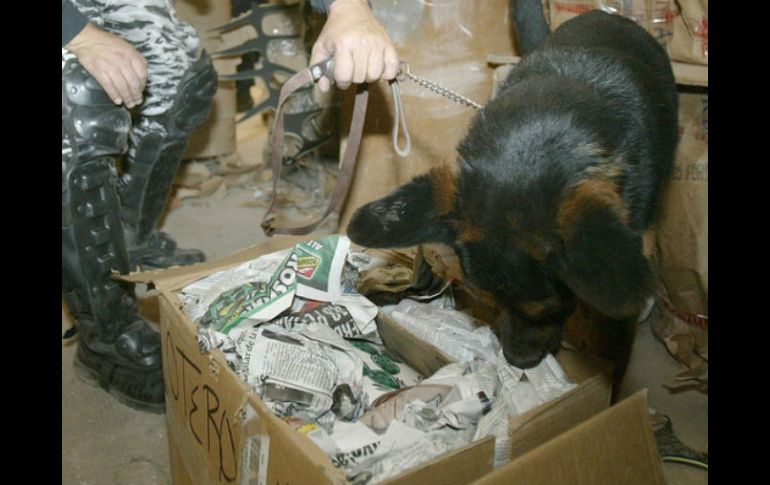 Especialistas con perros entrenados revisan el Parlamento para comprobar la amenaza. ARCHIVO /