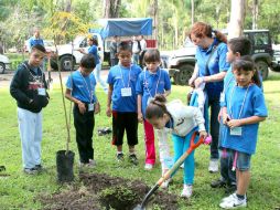 Está previsto plantar 30 mil árboles en la ciudad.  /