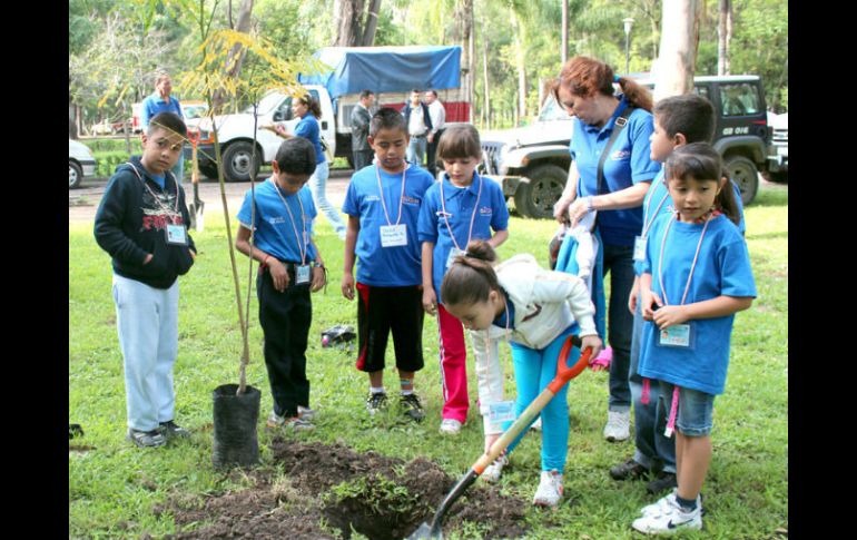 Está previsto plantar 30 mil árboles en la ciudad.  /