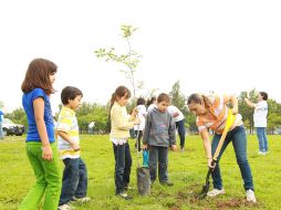 La asociación civil Extra realiza la segunda jornada de reforestación del Parque Metropolitano.  /