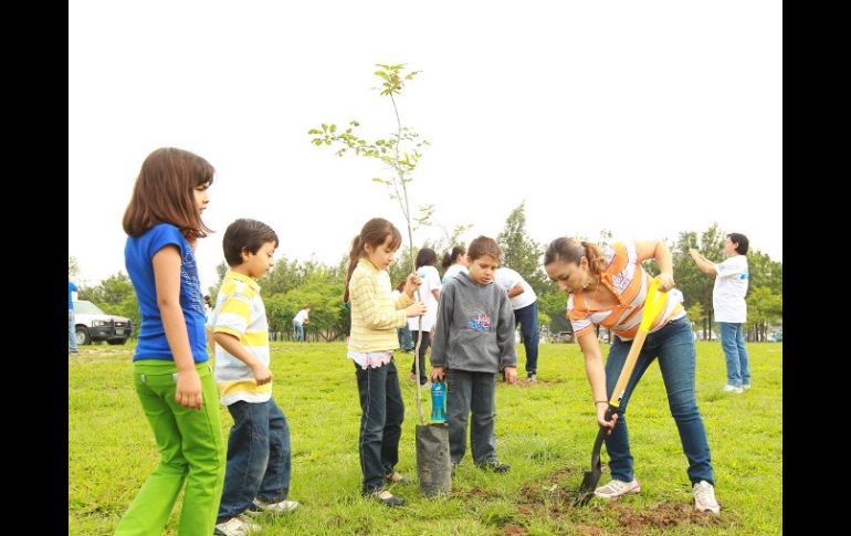 La asociación civil Extra realiza la segunda jornada de reforestación del Parque Metropolitano.  /