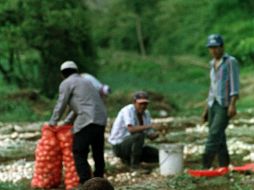 El estudio incluye una propuesta para que zonas agrícolas de Jalisco tengan un esquema de protección. ARCHIVO /