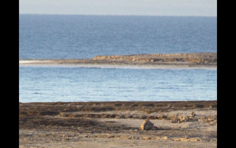 Se inició la recolección de ampolletas que contienen 1.8 mililitros de solución inyectable que se encontraban en la playa. ARCHIVO /