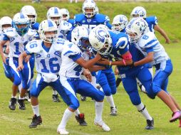 Carneros cerró con derrotas su participación en la liga infantil ONEFA. EL INFORMADOR /