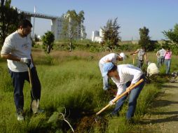 Por décimo domingo, un grupo de ciudadanos se juntó para reforestar el predio.  /