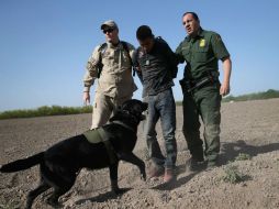 El Cómite Pro Derechos Huamnos en Reynosa califican de abuso de autoridad el uso de perros en detenciones. ARCHIVO /