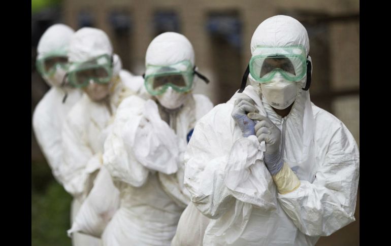 Técnicos del Centro de Epidemiología Veterinaria portan bolsas que contienen restos de aves en una granja de la aldea de Naghkhel. EFE /