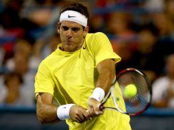 El tenista argentino Juan Martín del Potro devuelve una bola al australiano Bernard Tomic. AFP /