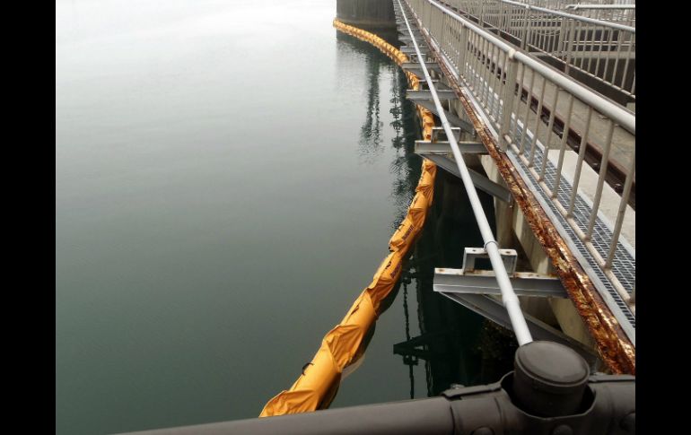 La principal preocupación en las labores para desmantelar la central es la acumulación del agua contaminada. EFE /