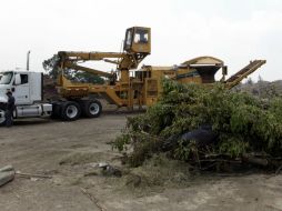 Las autoridades de Zapopan aseguran que sí existe un servicio para que se lleven los residuos a domicilio.  /