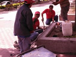 Los skatos podrán hacer sus maniobras en los rieles que instalaron en el camellón situado entre Avenida López Cotilla y Avenida La Paz.  /